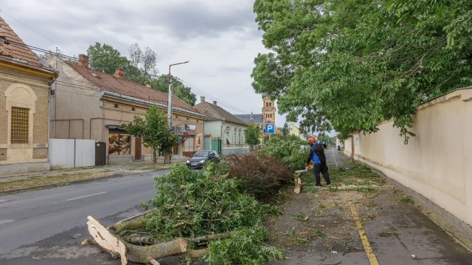 Letarolta a vihar Gyomaendrődöt - összefogással kezdődött meg a helyreállítás