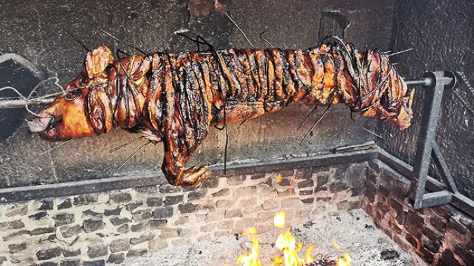 Nyárson sült gyomai malac