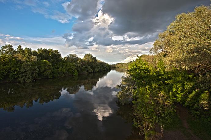 Új gyomaendrődi természetfilmek weboldalunkon