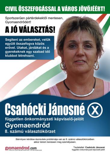 Dezső Zoltán független polgármester jelölt