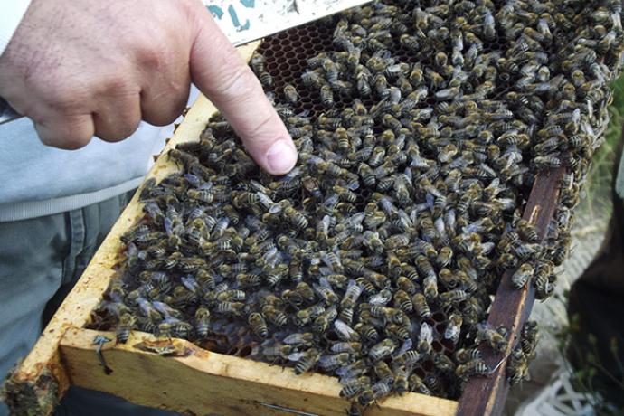 A Békés Megyei Tisza Kálmán Közoktatási Intézmény szeptemberi hírei