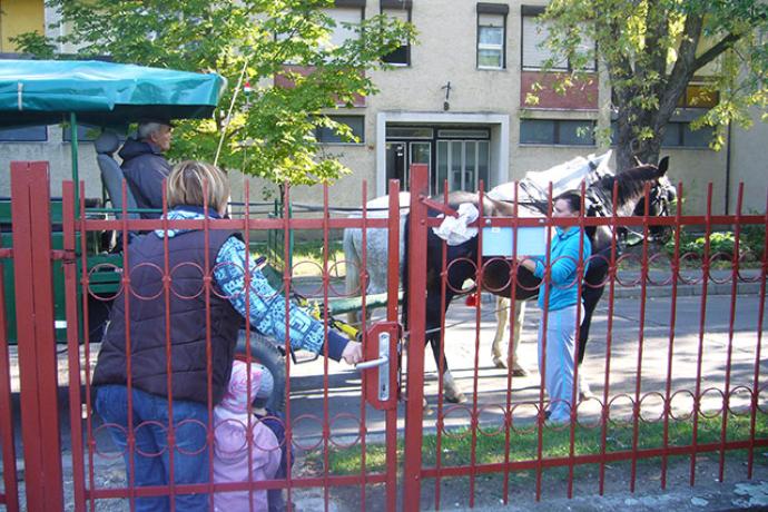 A Vásártéri Óvoda és Bölcsőde októberi hírei