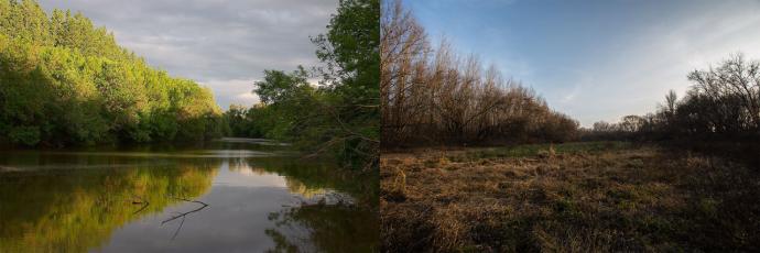 Gyomaendrőd - kiszáradt egy holtágszakasz (A képen: A Német-zugi holtág keleti ártéri szakasza 2006-ban és 2012-ben)