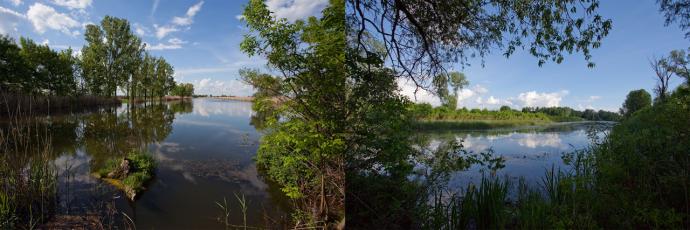 Gyomaendrőd - kiszáradt egy holtágszakasz (A képen: A Német-zugi-holtág nyugati ártéren kívüli szakasza még ép, megmaradt ártéren belüli szakasza azonban közel jár a kiszáradáshoz)