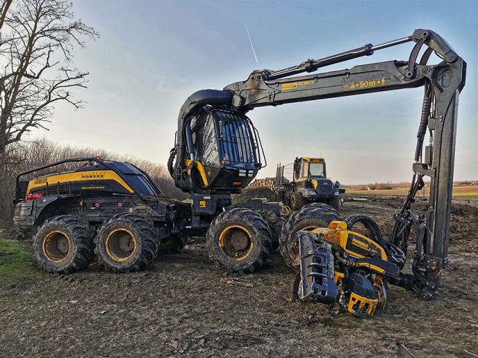 Erdőfelújítások őshonos fafajokkal a Hármas-Körös hullámterében