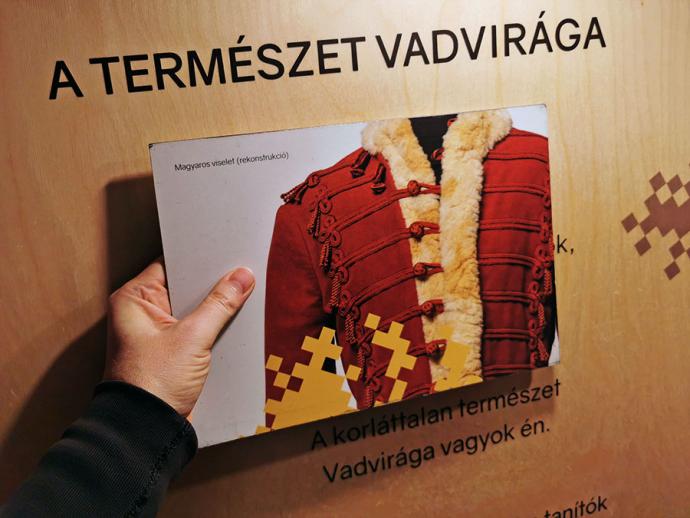 Petőfi-busz Gyomaendrődön