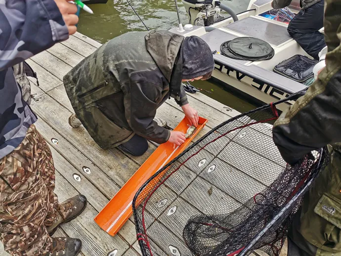 II. Nedfishing Pergető horgászkupa Gyomaendrődön