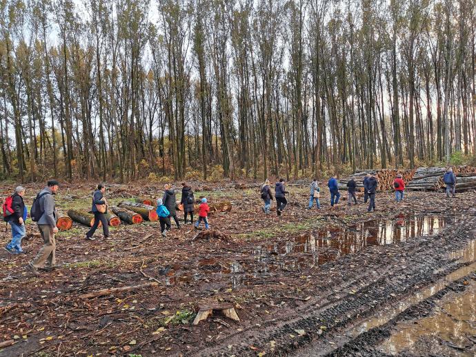 Őszi séta a hullámtéri avarban!