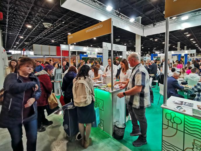 Gyomaendrőd stand, A pavilon 205 E, Utazás+ kiállítás - Hungexpo 2024
