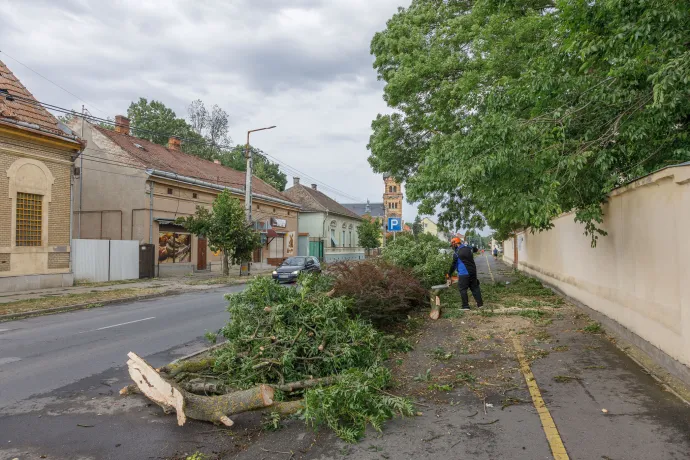 Letarolta a vihar Gyomaendrődöt - összefogással kezdődött meg a helyreállítás