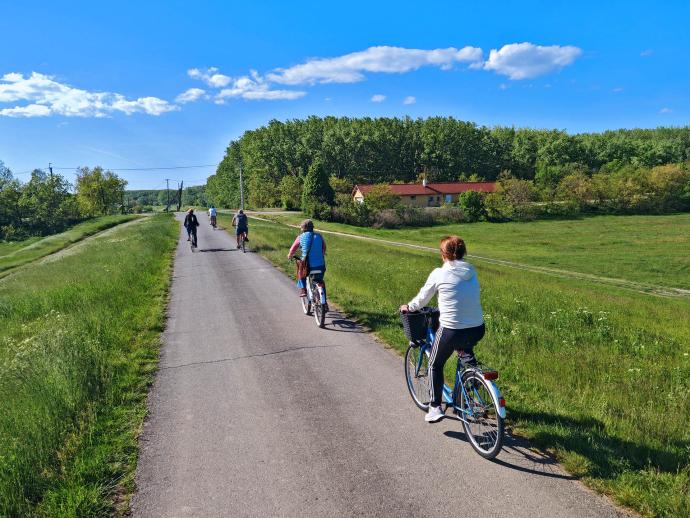 Kerékpártúra a nagy nyárfához és a denevérodúhoz