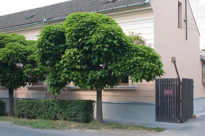 Védőnői Szolgálat (Endrőd)