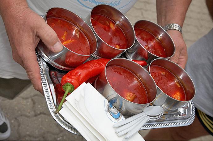 Busaleves gyomai módra (Korhely busaleves)