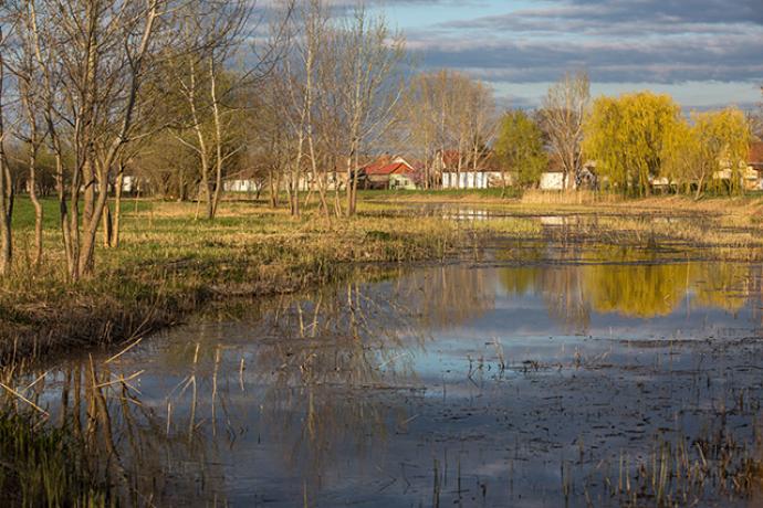 Kacsaúsztató Kacsaúsztató