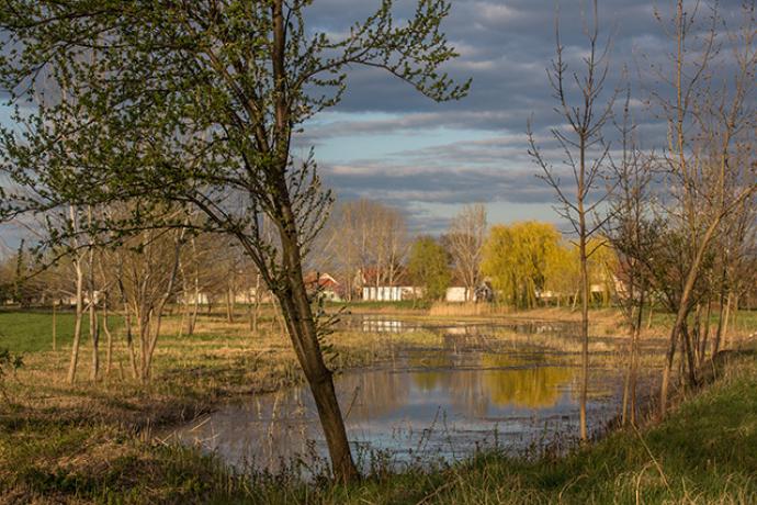 Kacsaúsztató Kacsaúsztató