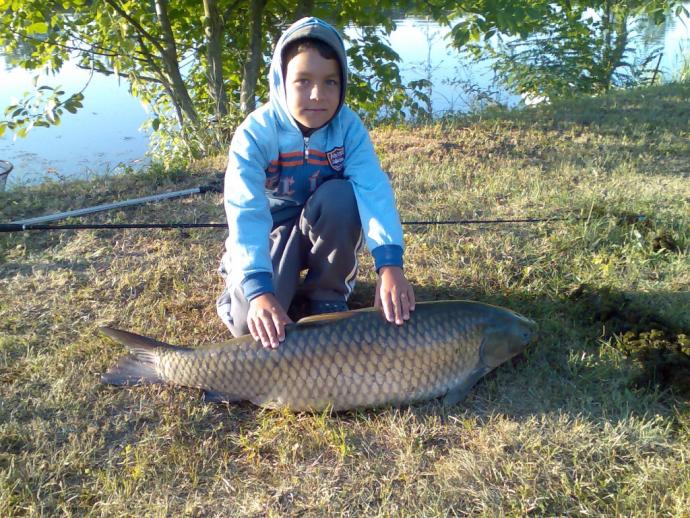 Amur (14.65 kg) - Peresi holtág
