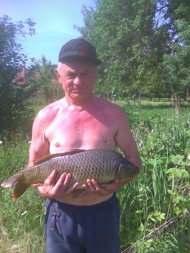 Ponty (5 kg) - Sirató holtág