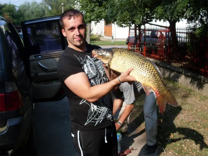 Ponty (5 kg) - Hármas-Körös folyó