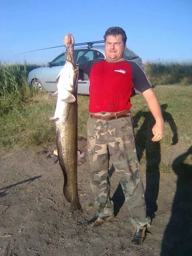 Harcsa (17 kg) - Félhalmi Holtág