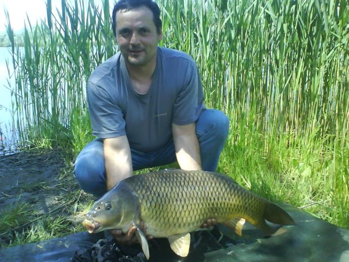 Ponty (12.4 kg) - Félhalmi Holtág