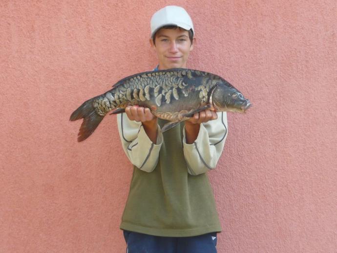 Ponty (4.25 kg) - Németh-zugi holtág