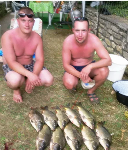 Amur (7 kg) - Bónom-zugi holtág