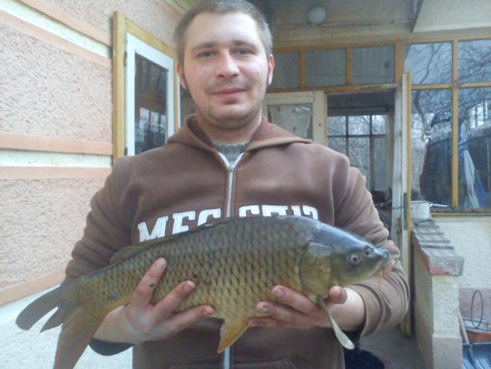 Ponty (3 kg) - Hantoskerti holtág