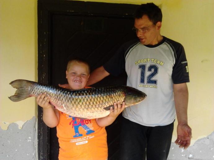 Amur (8.77 kg) - Hantoskerti holtág