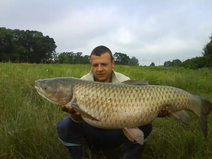 Amur (23.75 kg) - Hármas-Körös folyó