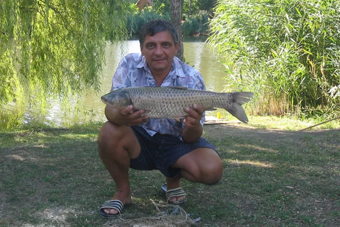 Amur (4.5 kg) - Bónom-zugi holtág
