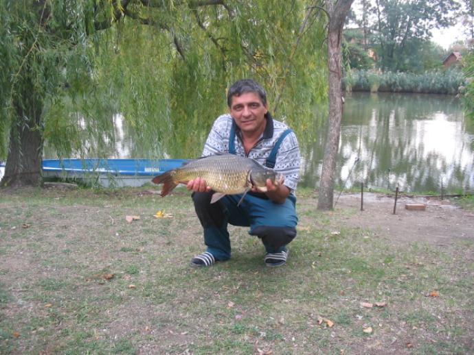 Ponty (3.9 kg) - Bónom-zugi holtág