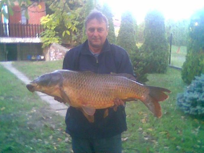 Ponty (17.5 kg) - Bónom-zugi holtág