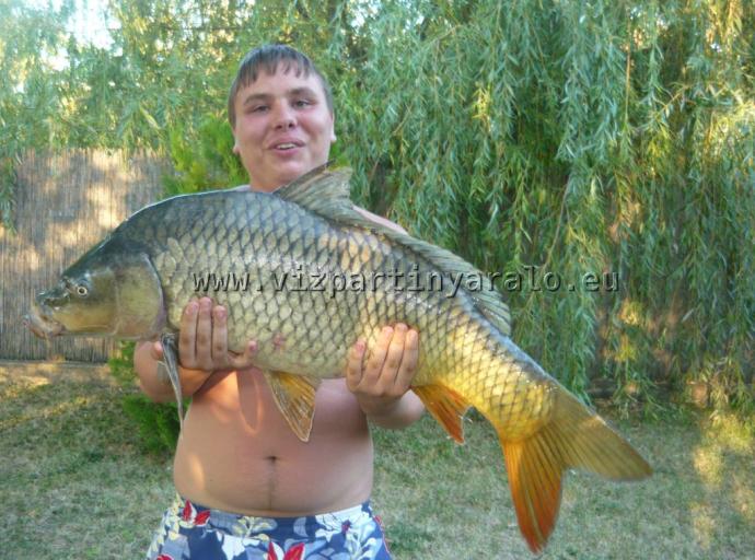 Ponty (11.5 kg) - Hantoskerti holtág