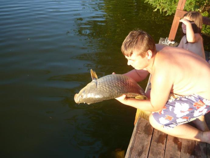 Ponty (11.5 kg) - Hantoskerti holtág