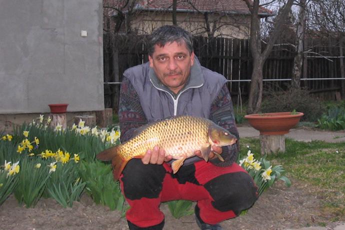 Ponty (3.4 kg) - Bónom-zugi holtág