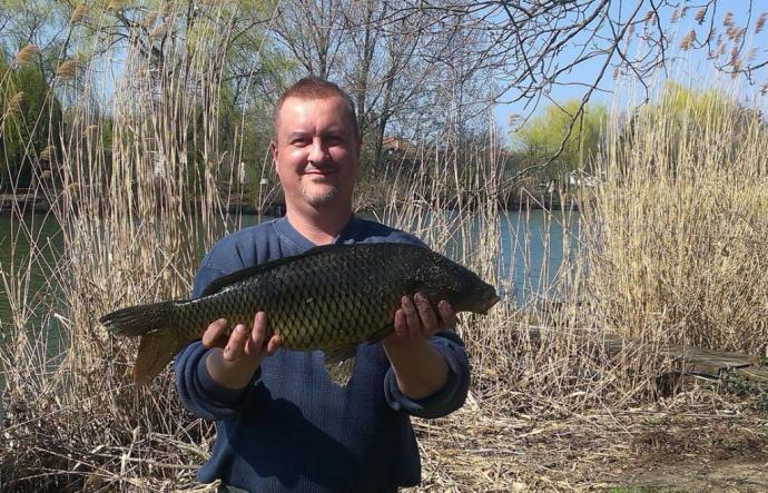 Ponty (4.4 kg) - Danzugi holtág