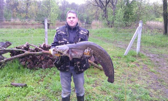 Harcsa (8.5 kg) - Sirató holtág