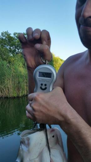 Busa (42 kg) - Bónom-zugi holtág