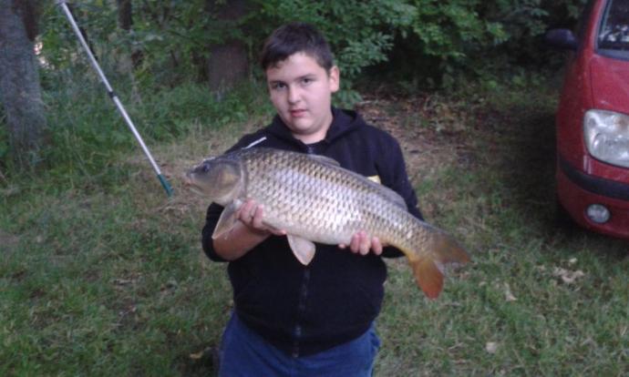 Ponty (8.5 kg) - Danzugi holtág