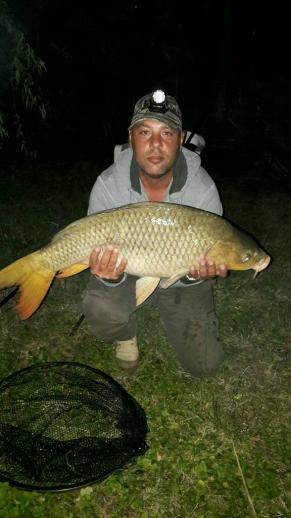 Ponty (17 kg) - Templom-zugi holtág