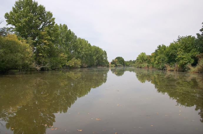 Bónom-zugi holtág Bónom-zugi holtág