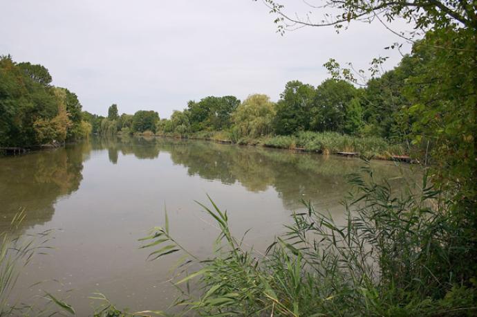 Bónom-zugi holtág Bónom-zugi holtág