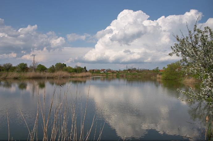 Fűzfás-zugi Holtág Fűzfás-zugi Holtág