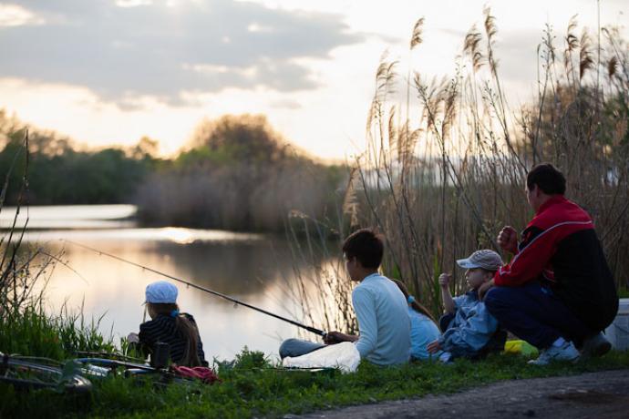 Fűzfás-zugi Holtág Fűzfás-zugi Holtág