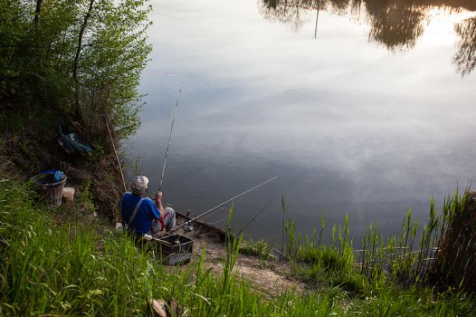 Fűzfás-zugi Holtág Fűzfás-zugi Holtág