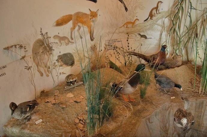 Peresi Tájház (szivattyúház) Peresi Tájház (szivattyúház)