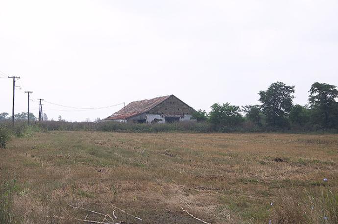 Csudabala
