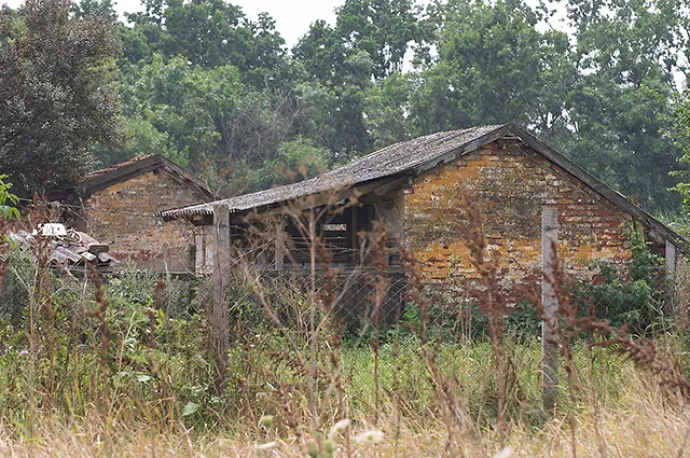 Csudabala