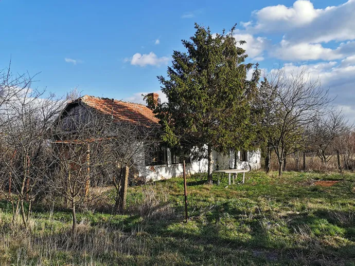 Kocsorhegyi tanyavilág