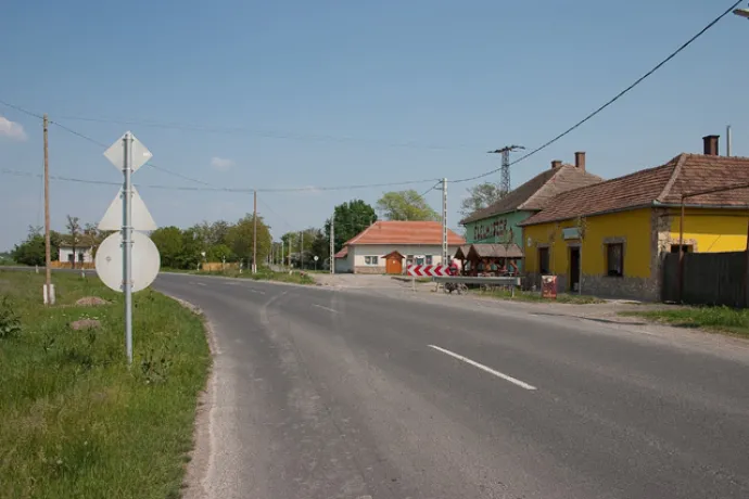 Öregszőlő